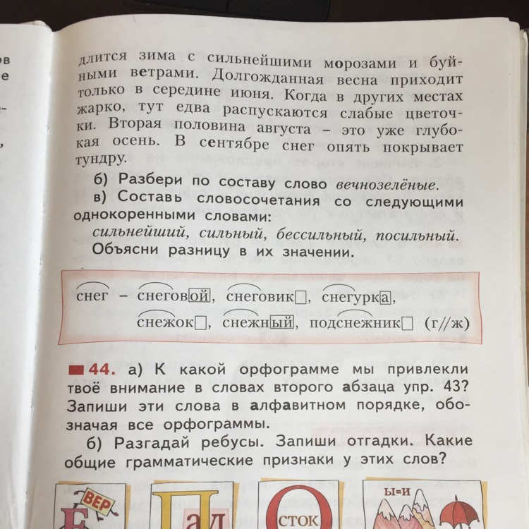 Упражнение 44 4 класс. Разгадай ребусы слова отгадки запиши в алфавитном порядке. Разгадай ребусы какие орфограммы присутствуют во всех эти словах. Бунеев часть 4 разгадать ребус занятий 44.