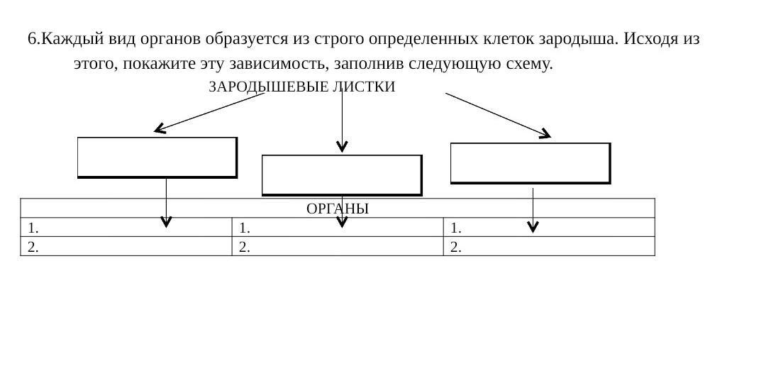 Заполни следующую схему