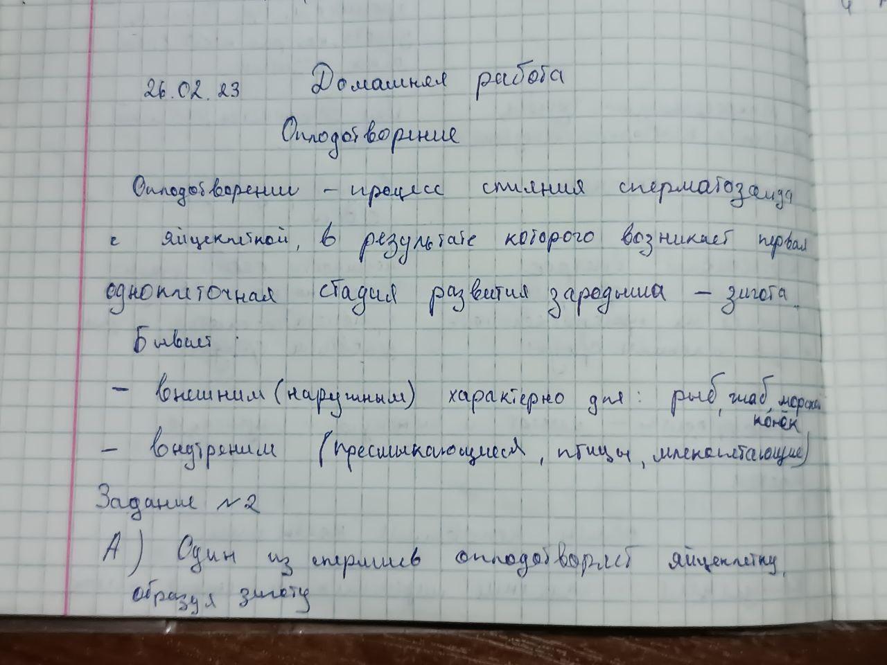 Рассказ примеры произведений. Рассказ в рассказе примеры произведений. Рассказ примеры. Приведите пример образца рассказа из опыта на любую тему.