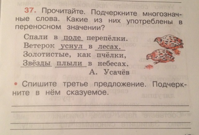 Золотистые как пчелки подчеркнуть сказуемое. Рабочая тетрадь по русскому языку 2 класс стр 59. Прочитайте подчеркните слова. Прочитай подчеркни слова. Списать третье предложение.