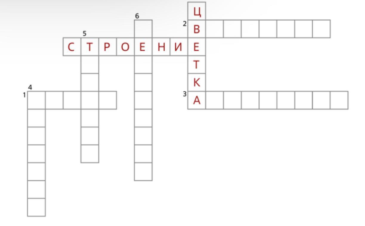 Аиф номер 33 кроссворд