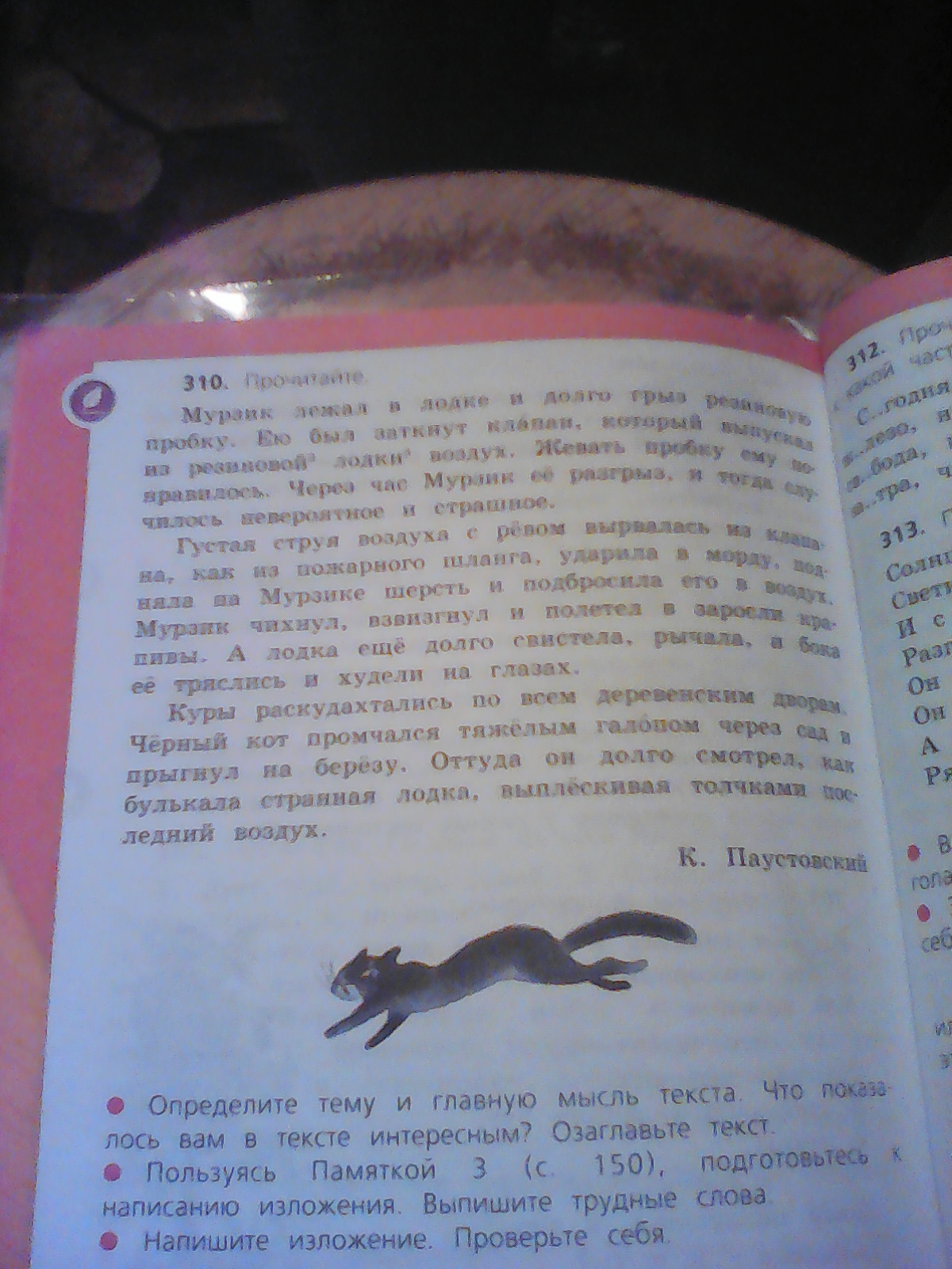 Изложение 4 класс мурзик лежал в лодке и долго грыз резиновую пробку презентация