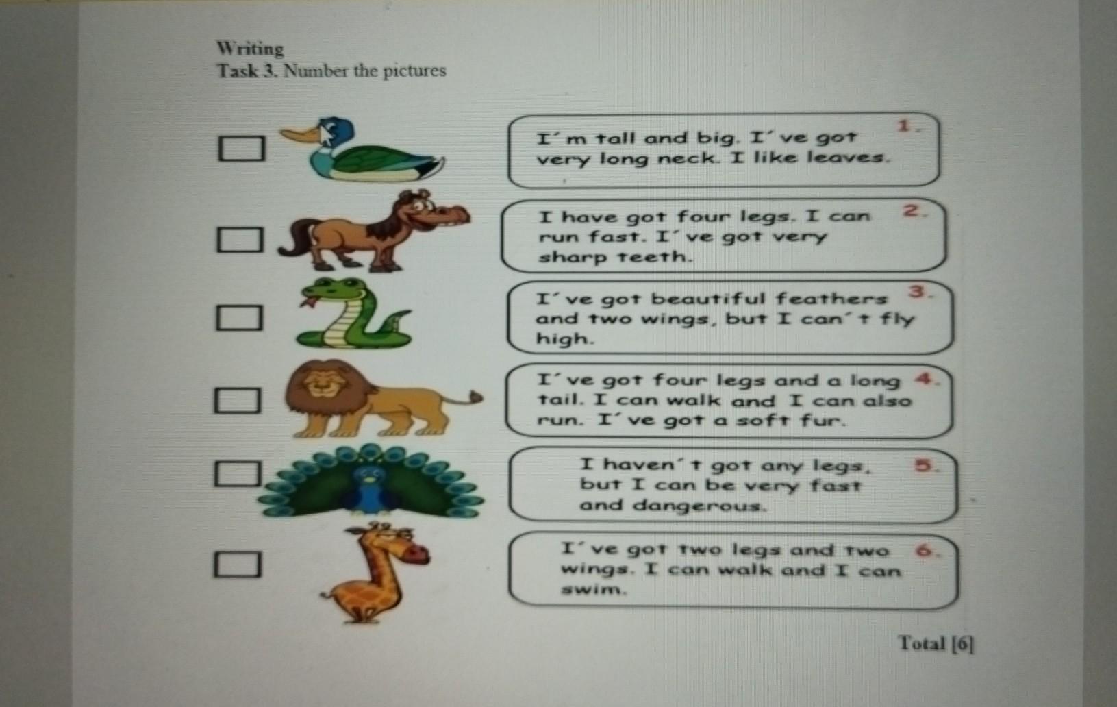 It has got four legs перевод. The longest перевод. Have got has got animals. It is funny and nice. It has got four big Ears,перевод. A Frog e.g.has got four Legs.