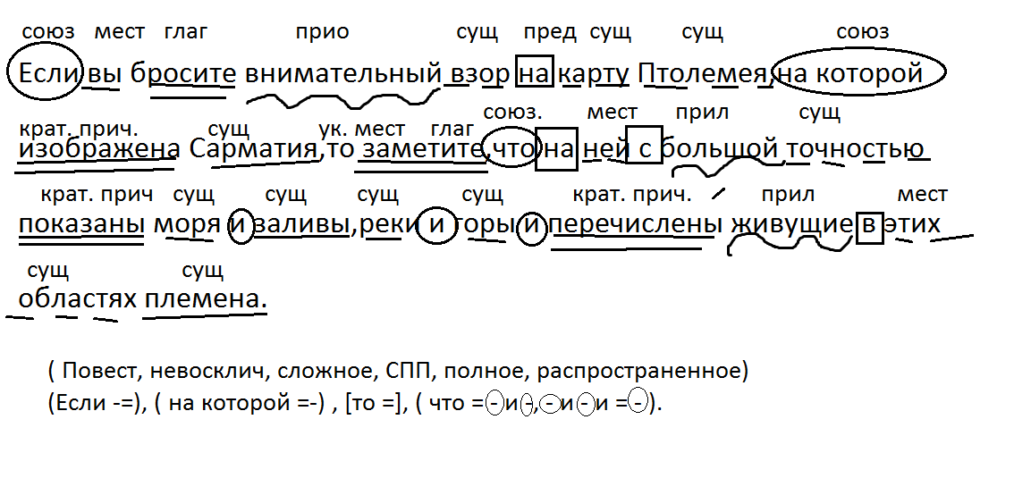 Так резко оттенялся каждый цветок синтаксический разбор схема предложения