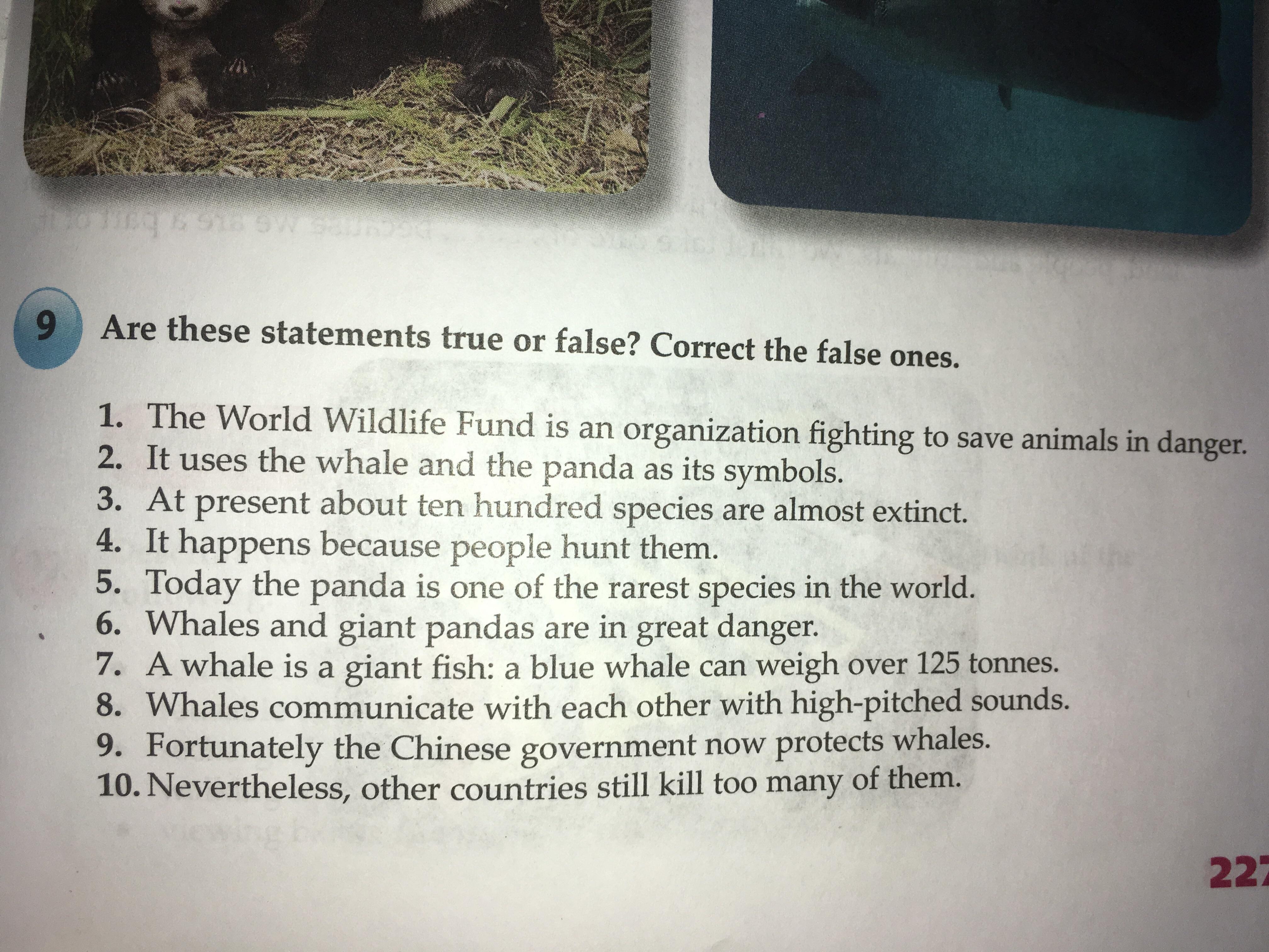 The world wildlife fund is. Are these Statements true or false correct the false ones ответы. The World Wildlife Fund is an Organization Fighting. Are these Statements true of false correct the false ones задания. Are these Statements true or false correct the false ones гдз по английскому языку.