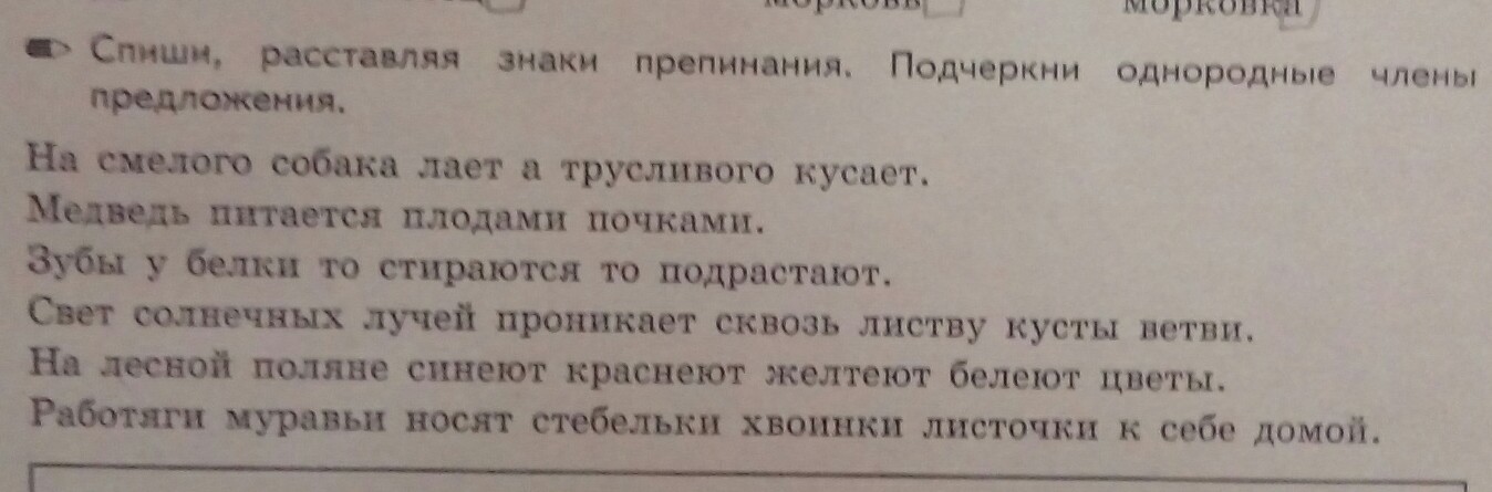 На смелого собака лает а трусливого кусает. На смелого собака лает а трусливого кусает однородные члены. На смелого собака лает а трусливого кусает члены предложения. Однородные члены предложения медведь питается плодами и почками. Собака лает схема предложения.