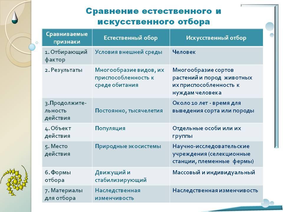 Естественный отбор презентация 11 класс по биологии