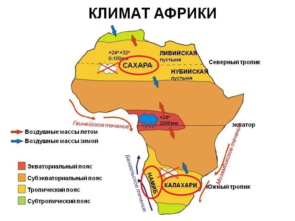 Калахари на карте Африки. Карта климат поясов Африки. Карта климатических поясов Африки. Климатическая карта Африки природные зоны. На севере материка природные зоны расположены