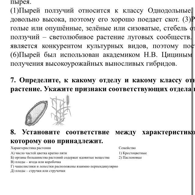 Тело гриба имеет вегетативные и генеративные органы. Таллом это в биологии 6 класс определение кратко.