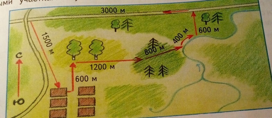 Рассмотрите рисунок и определите направление в. Лабиринт дорога грибника. Определите по карте рис 36 расстояние от опушки леса.