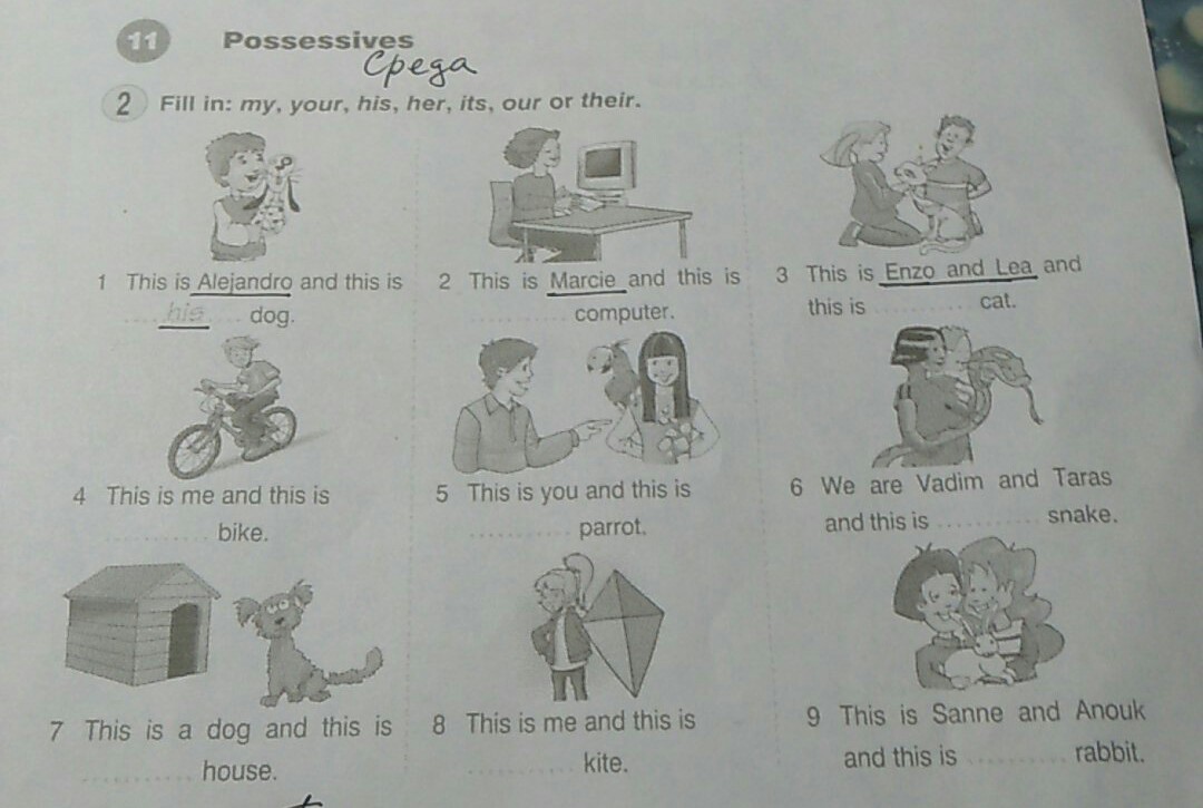 Fill in this. My your his her its our their упражнения. My his her its our their перевод. Задания his her their. My his her its our your their задания.