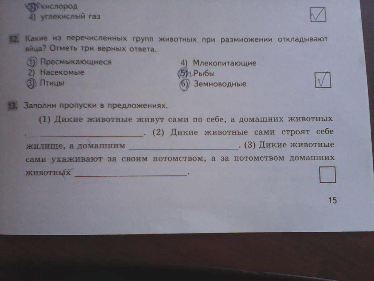 Запиши пропуски в предложениях. Заполни пропуски в предложениях. Заполните пропуски в предложениях Информатика. Заполнить пропуски в предложениях по информатике. Заполни пропуски в предложениях Информатика 5 класс.