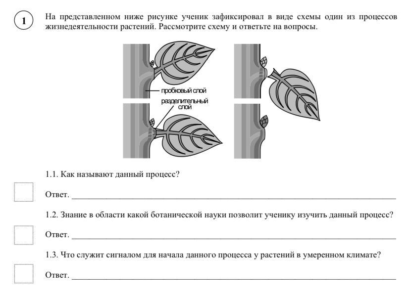 Ответ что представлено на рисунке