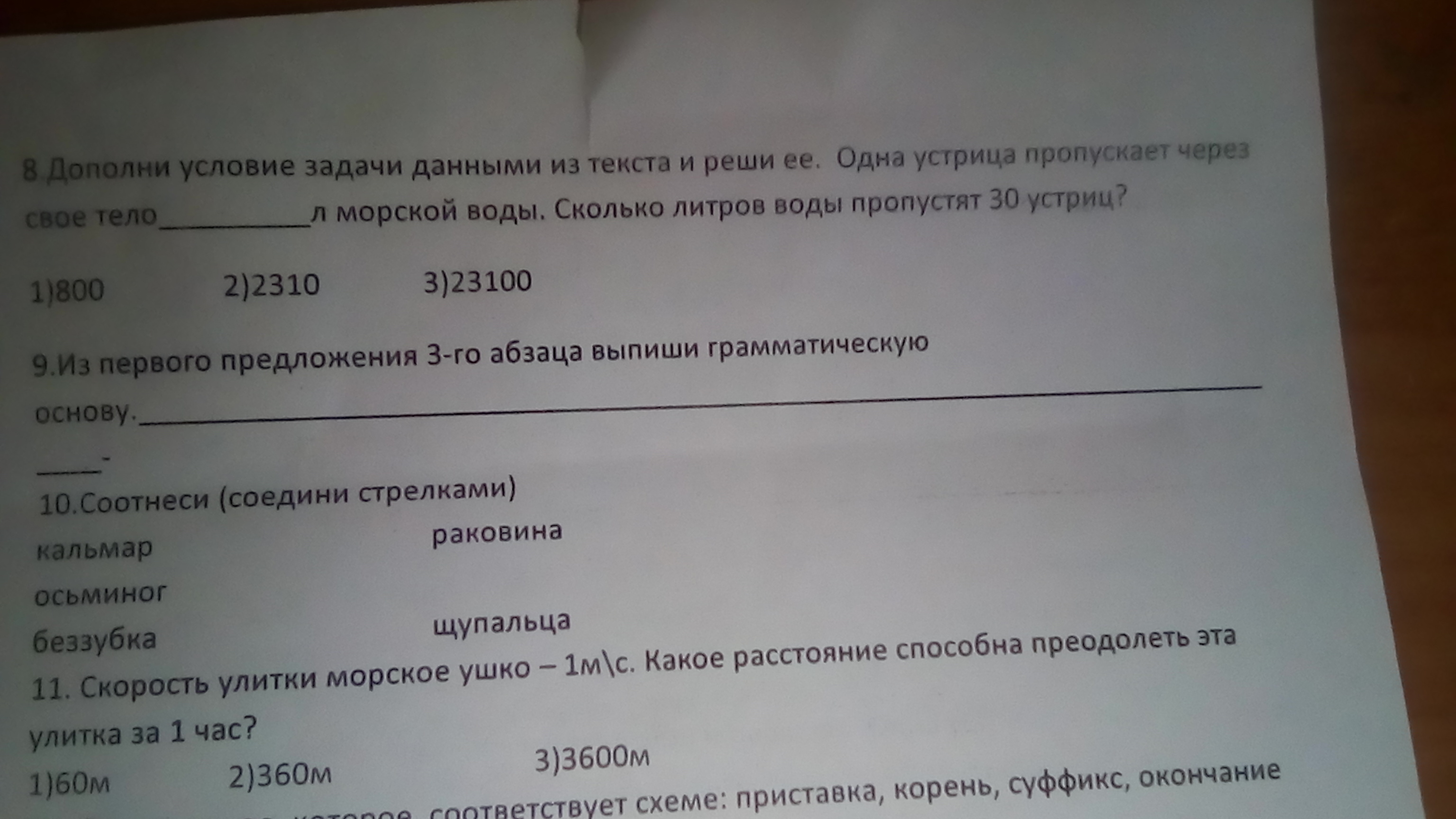 Задание 8 8 общество