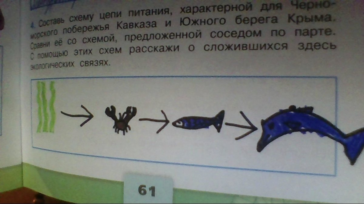 Прочитайте рассмотрите рисунок