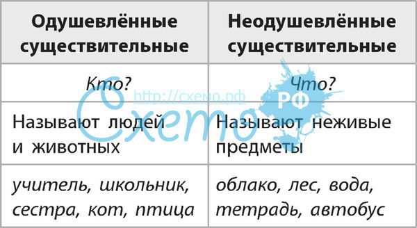 Имя существительное. Повторение изученного - презентация онлайн