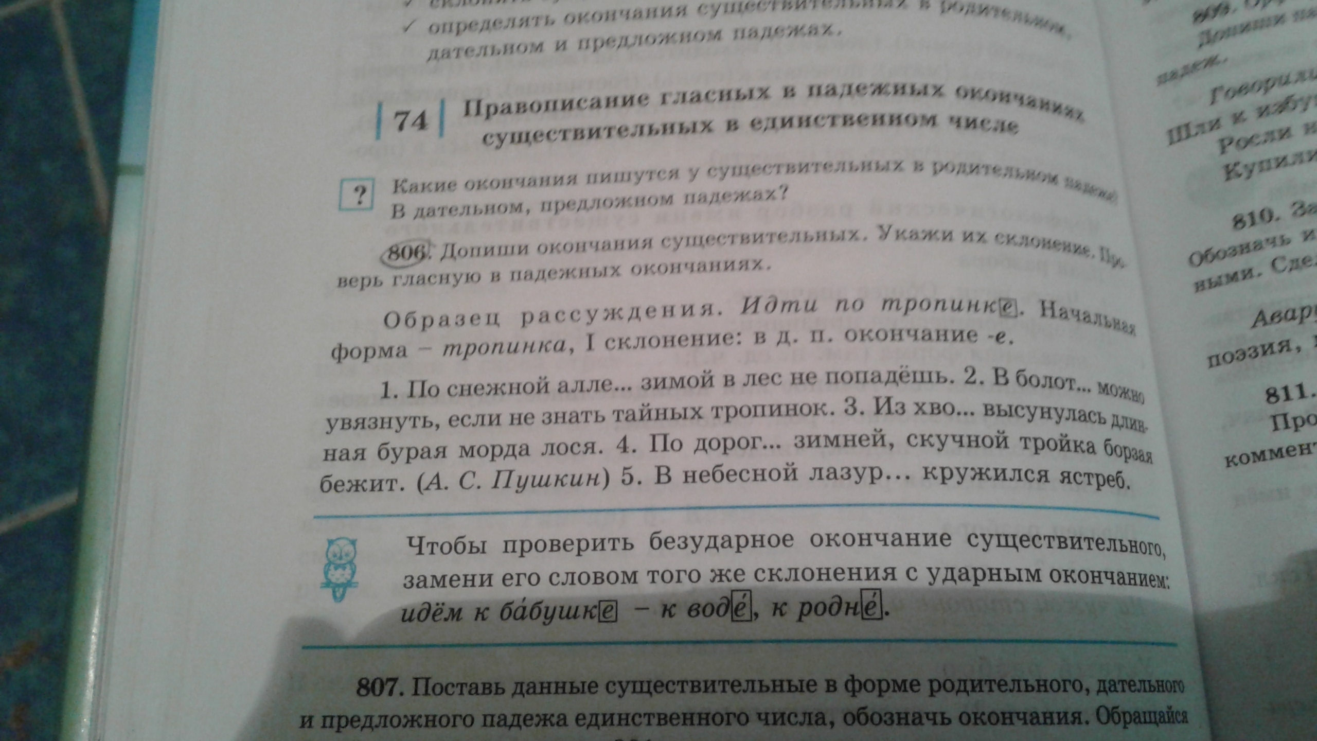 Русский язык 5 класс упр 806