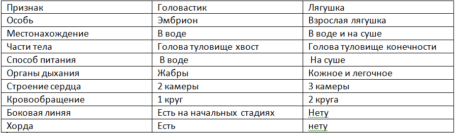 Заполните таблицу сравнительная характеристика эволюции