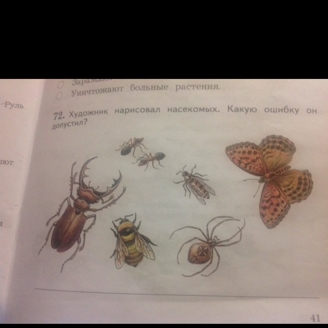 Какую ошибку допустил художник. Художник нарисовал насекомых какую ошибку. Насекомые нарисованные художниками. Какие ошибки допустил художник окружающий. Художник нарисовал насекомых какую ошибку он допустил окружающий мир.