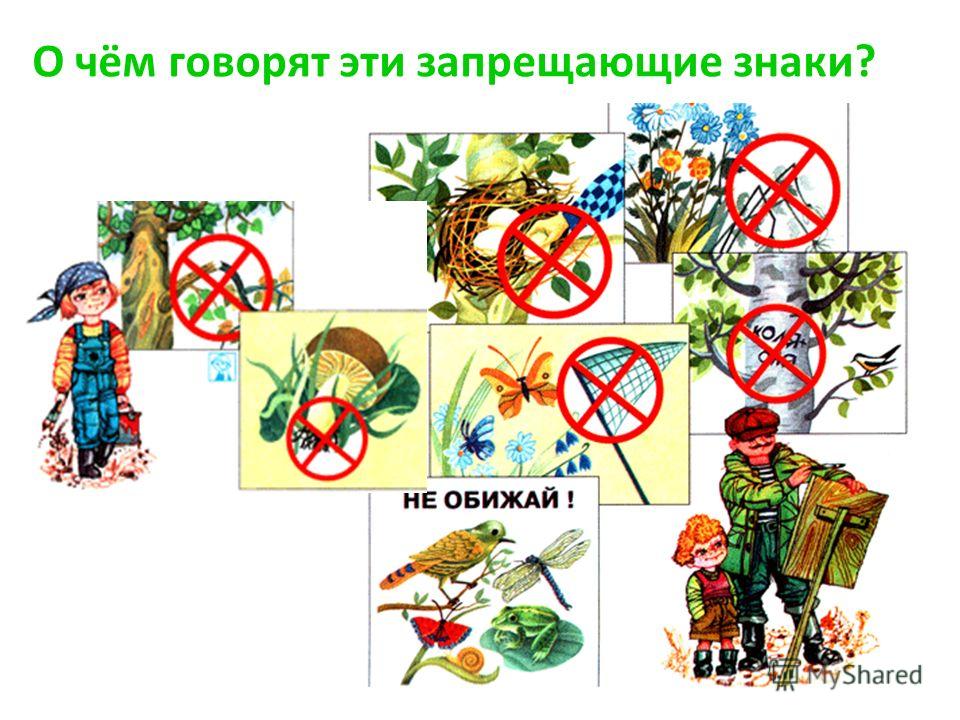 Условные знаки к правилам безопасности 3 класс окружающий мир нарисовать природа и наша безопасность