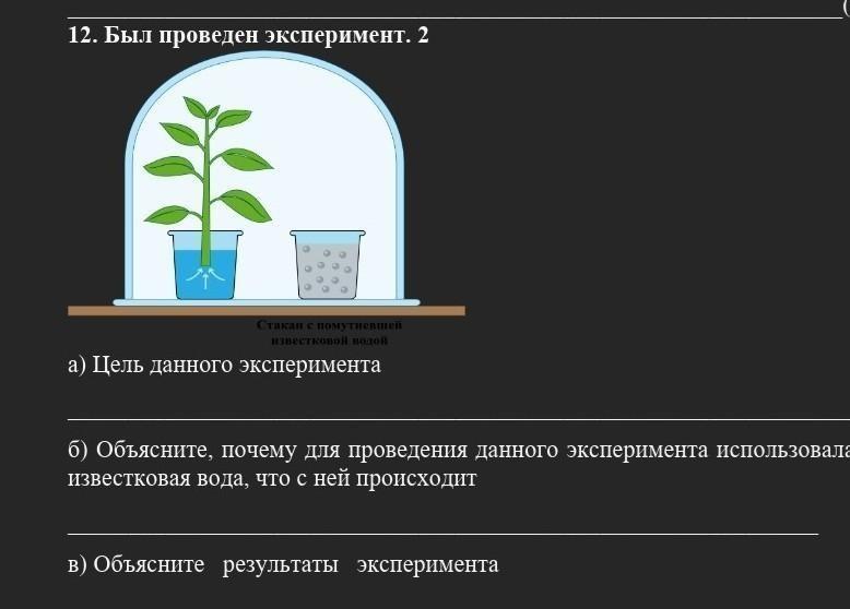 Известковая вода поглощает. Опыт с известковой водой. Почему известковая вода мутнеет. Биология 6 класс опыт известковая вода. Опыт с известковой водой и растениями.