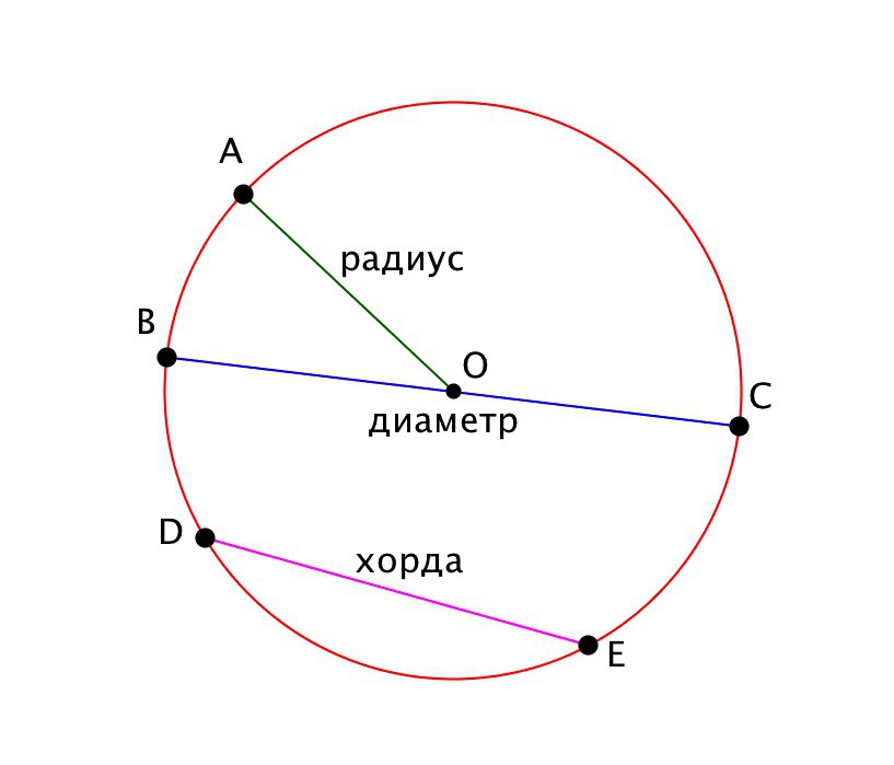 Диаметр это рисунок