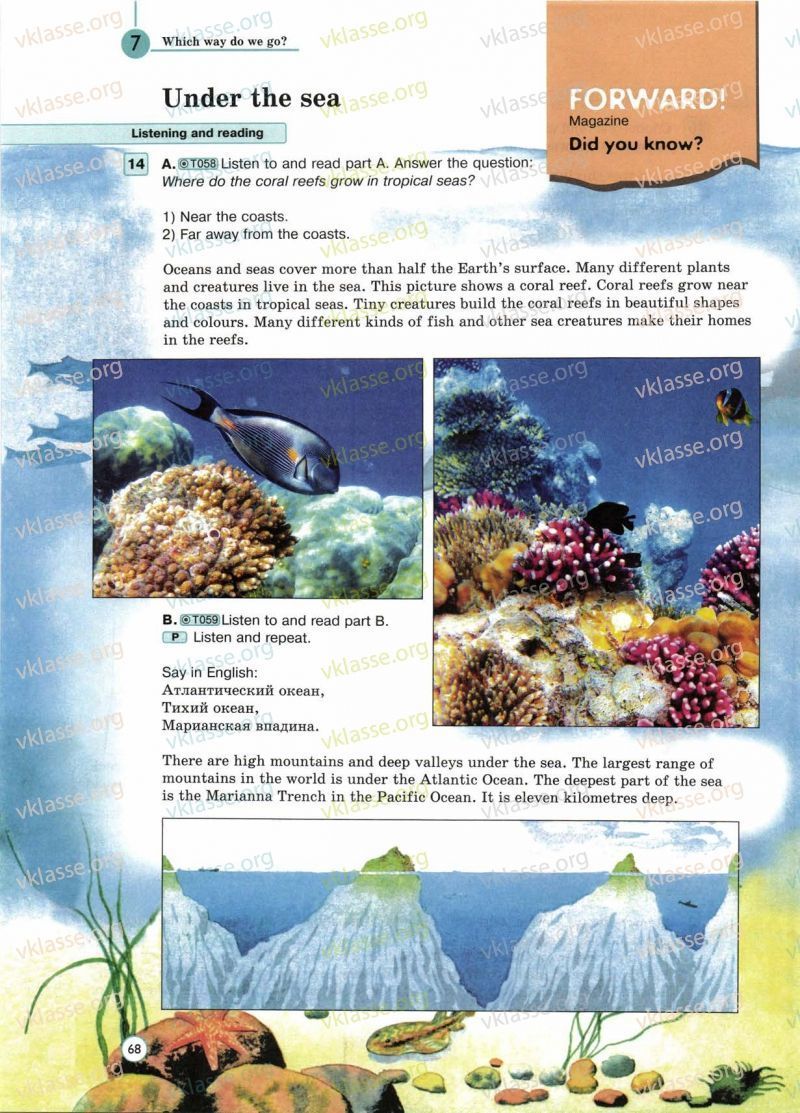 The usborne first encyclopedia of seas and oceans. Near the sea перевод. Near the sea перевод. Near the sea перевод. Скороговорки на английском she sells seashells.
