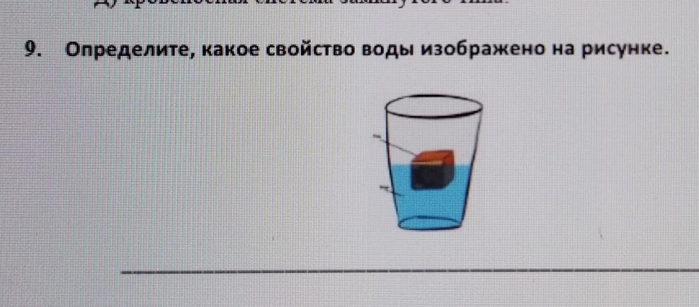 Как называются воды изображенные на рисунке и отмеченные знаком вопроса