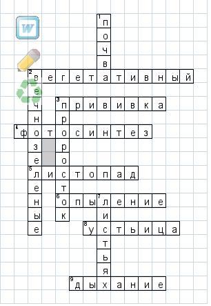 Кроссворд жизнедеятельность. Кроссворд по биологии 6 класс на тему жизнедеятельность организмов. Кроссворд по биологии 6 класс жизнедеятельность организмов. Кроссворд по биологии по теме жизнедеятельность организмов 5 класс. Кроссворд по теме жизнедеятельность организмов.