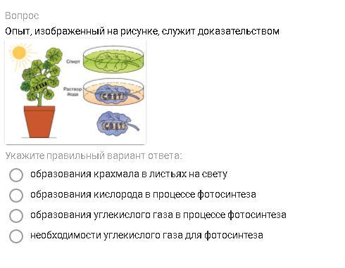 Опыт изображенный на рисунке служит доказательством