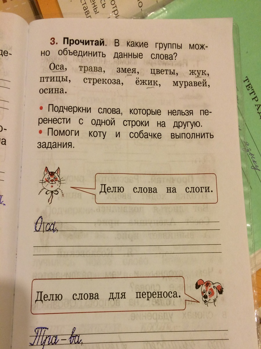 Как переносится слово муравьи