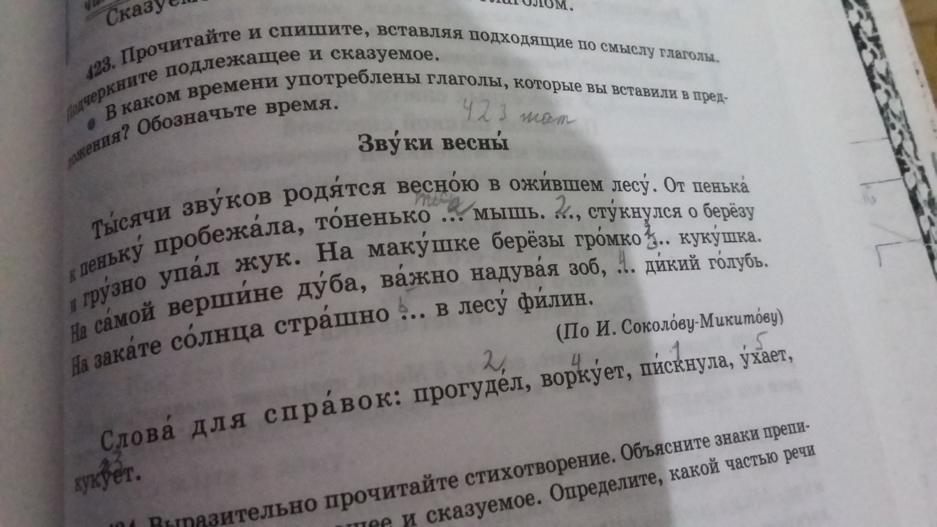 Текст тысячи. Тысячи звуков родятся весною. Тысячи звуков родятся весною в ожившем лесу. Тысяча звуков родятся весною в ожившем лесу текст. Звуки весны тысячи ....