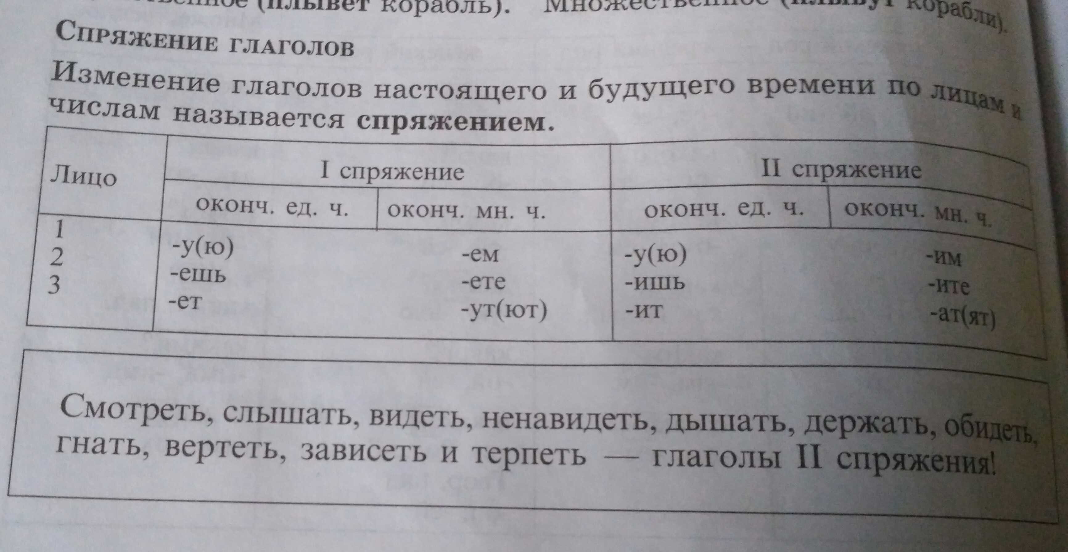 Заполни таблицу личных окончаний глаголов.