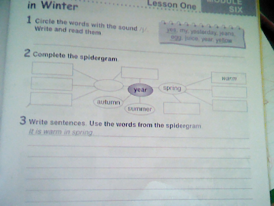 Complete the spidergrams перевод