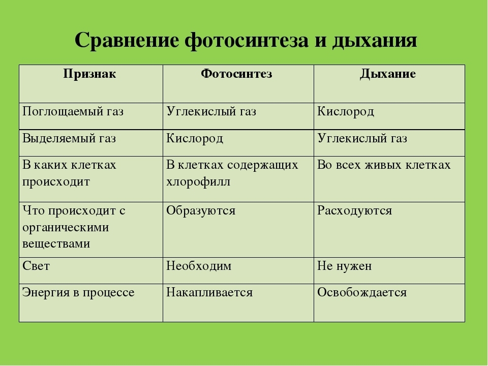 Рассмотрите рисунок 93 и таблицу 1 учебника укажите в таблице черты сходства и различия процессов