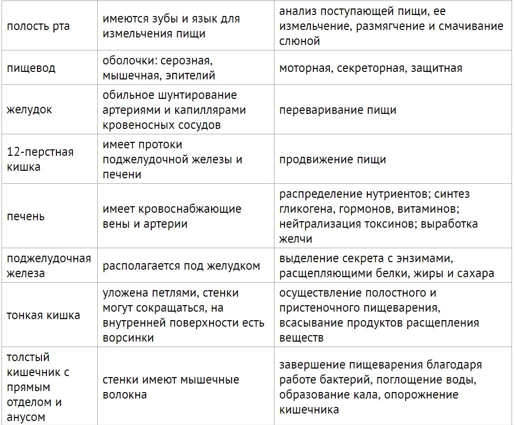 Общий план строения пищеварительной системы таблица