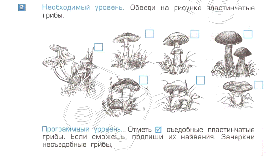 Отметь иллюстрацию