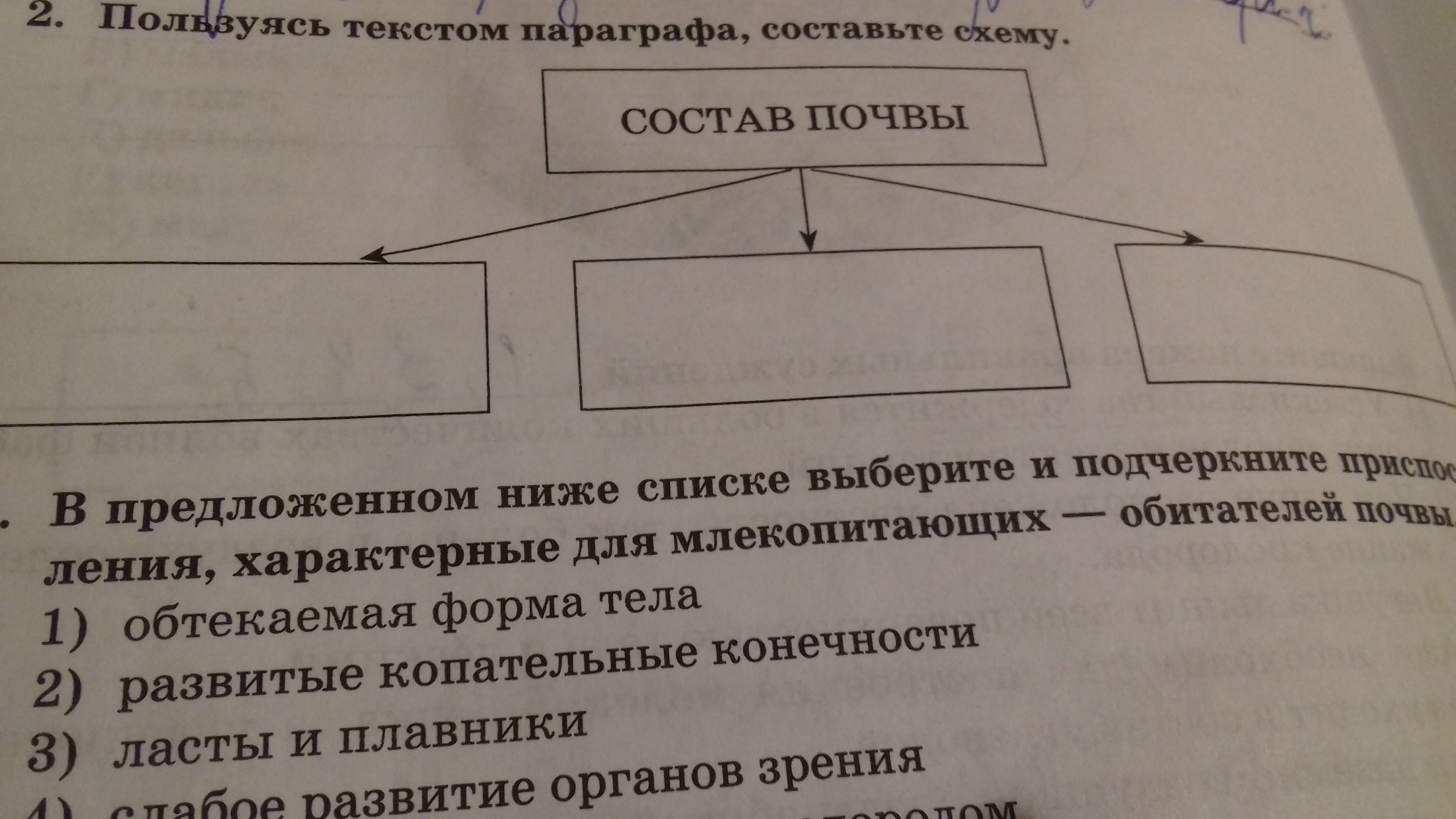 Найдите в тексте параграфа фото которое соответствует характеристике