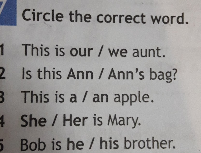 Grammar choose the correct word. Circle the correct Word. Circle the correct Words ответы.