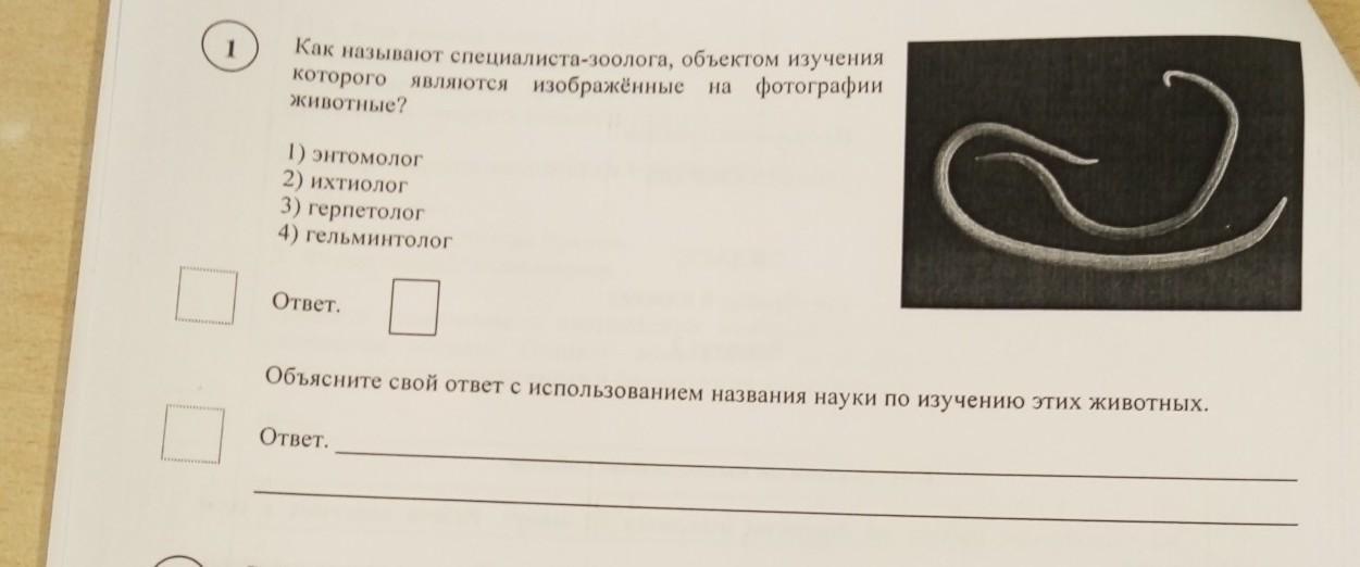 Как называют специалиста зоолога который занимается изучением животных изображенных на фотографии