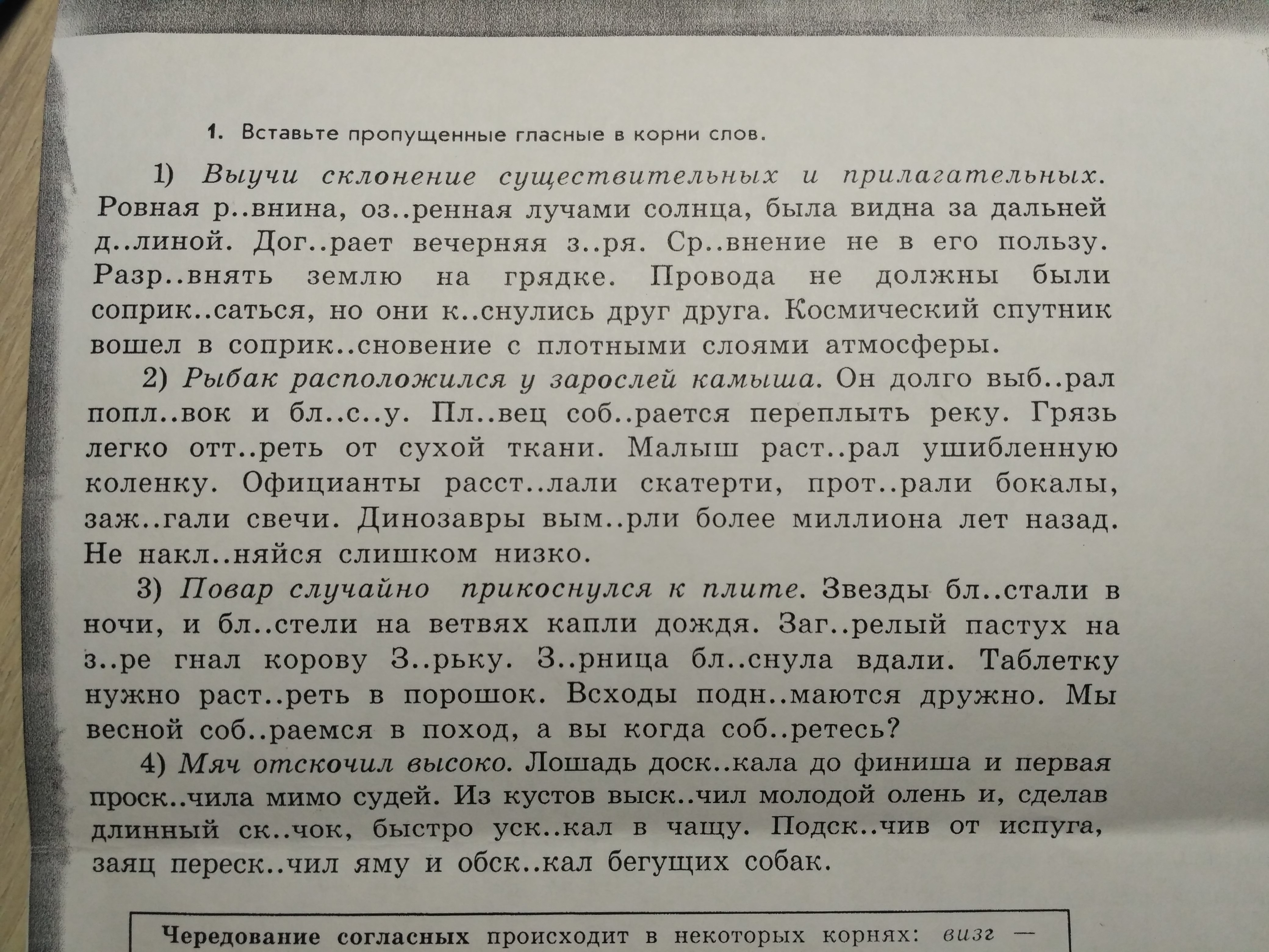 Текст 5 класс вставьте пропущенные буквы