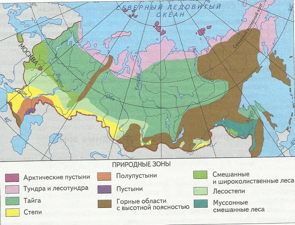 Контурная карта тайга