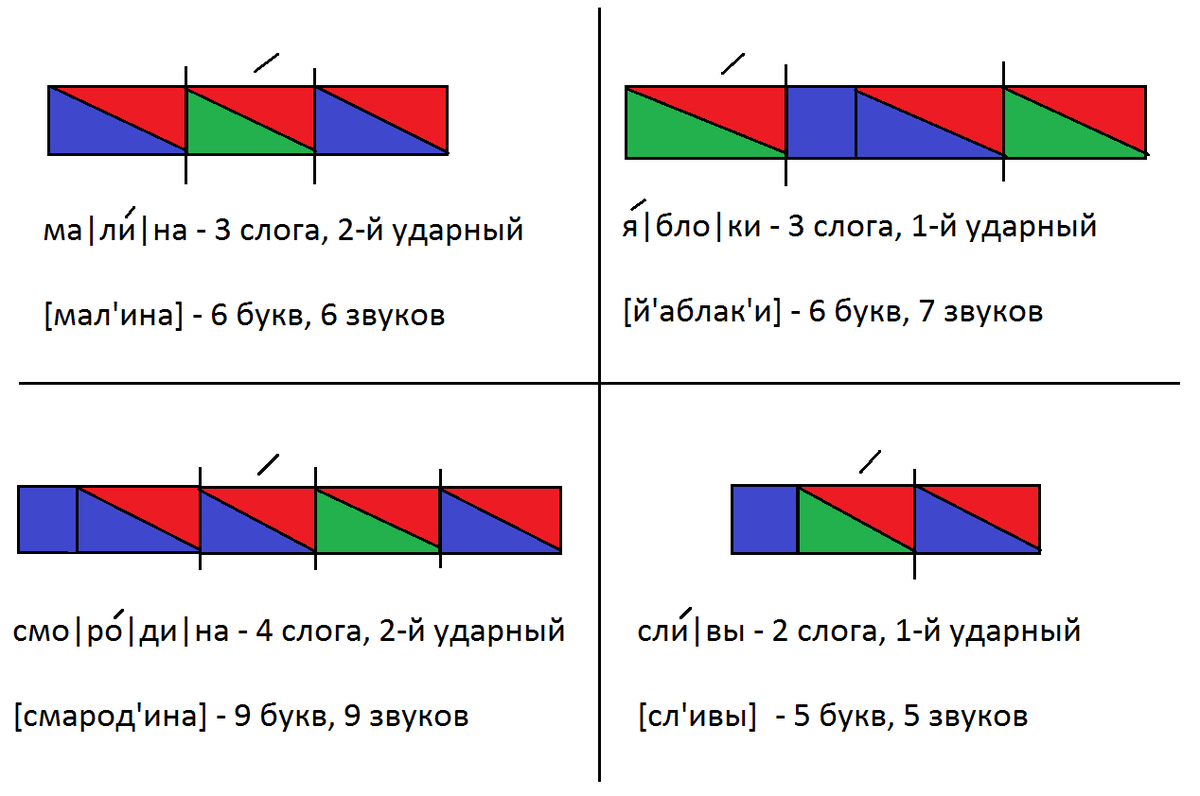 Сливы схема слова цветная