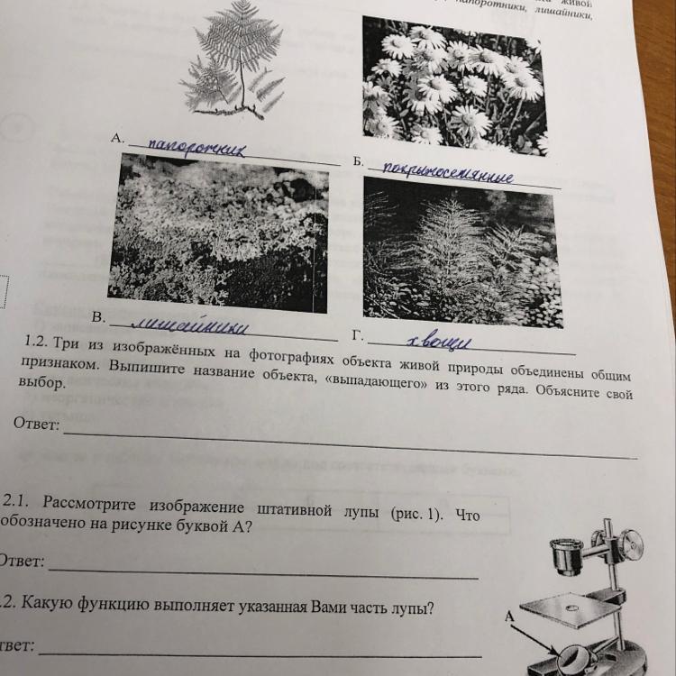 Три изображенных объекта. Три из изображенных объектов общим признаком. 2 из изображенных на фотографиях объекта объединены общим признаком. два из изображенных на фотографиях объекта.