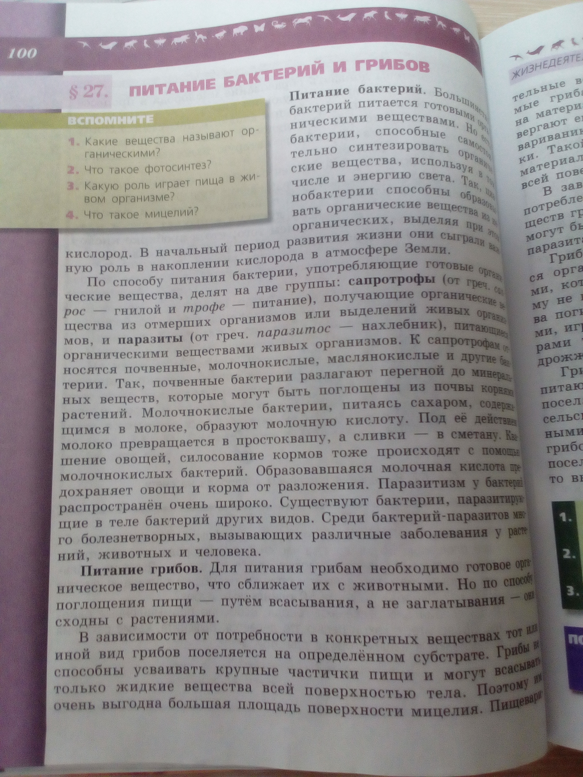 Пересказ по биологии 6 класс. Конспект по биологии 6 класс 6 параграф. Конспект по биологии 6 класс параграф 5. Конспект по параграфу. Биология 6 класс параграф 27.