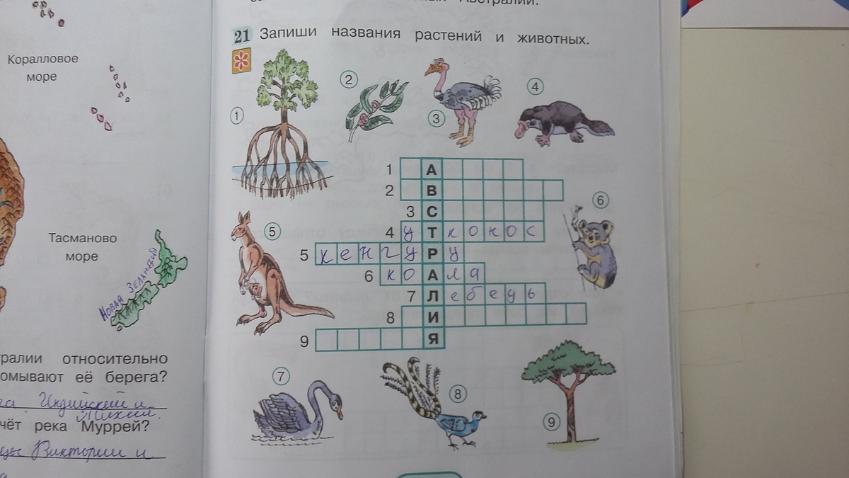 запиши название растений и животных. животное записать в таблицу. кроссворд на тему животные. список растений и животных занесенных в красную книгу. какие растения и животные внесены в красную книгу.