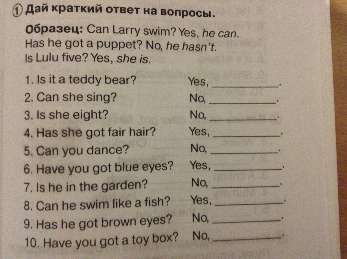 The puppet has got a. Краткие ответы на вопросы в английском языке. Краткие ответы в английском языке упражнения. Краткие ответы в английском. Краткие ответы на вопросы англ.