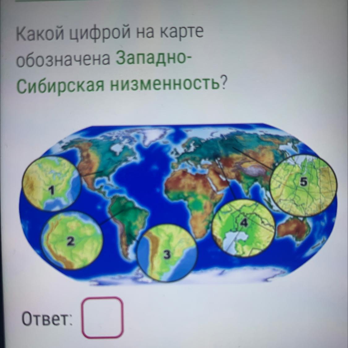 Тест западно сибирская равнина 8 класс география