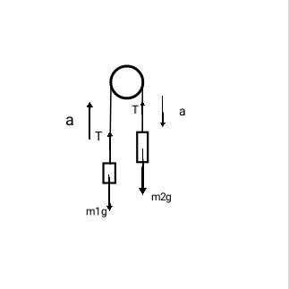 На рисунке изображены два груза висящие на концах перекинутых через блоки нитей другие концы нитей