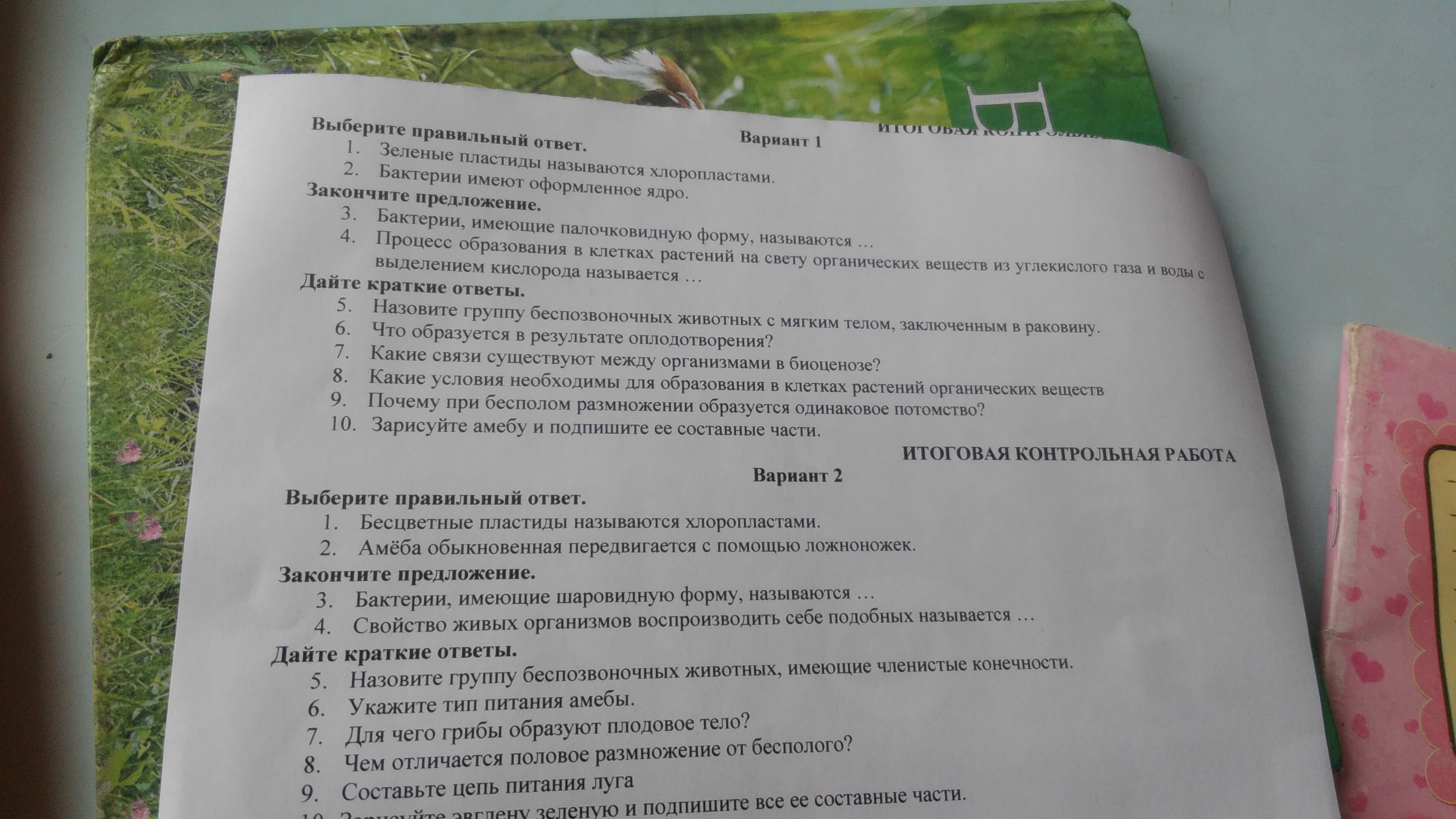 Выберите 3 правильных ответа биология 5 класс. Интересные задания по биологии 5 класс.